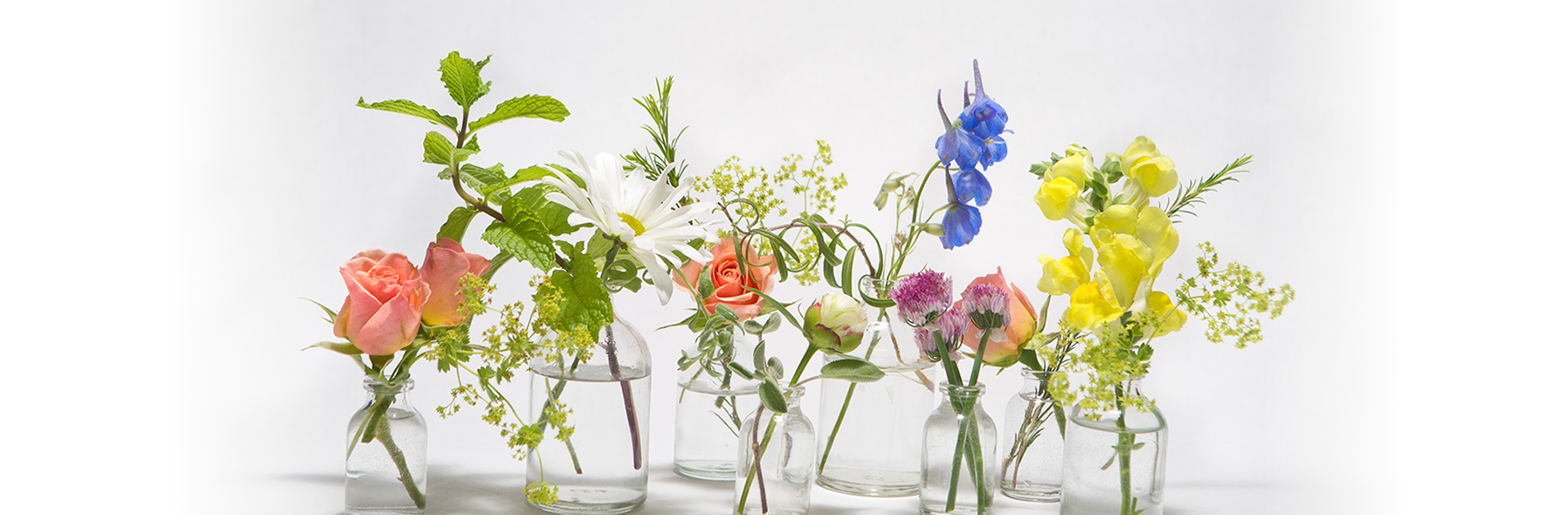 Get Flowers Direct Absolutly Fresh & Stunning Flowers